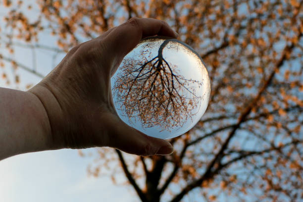 upsidedown